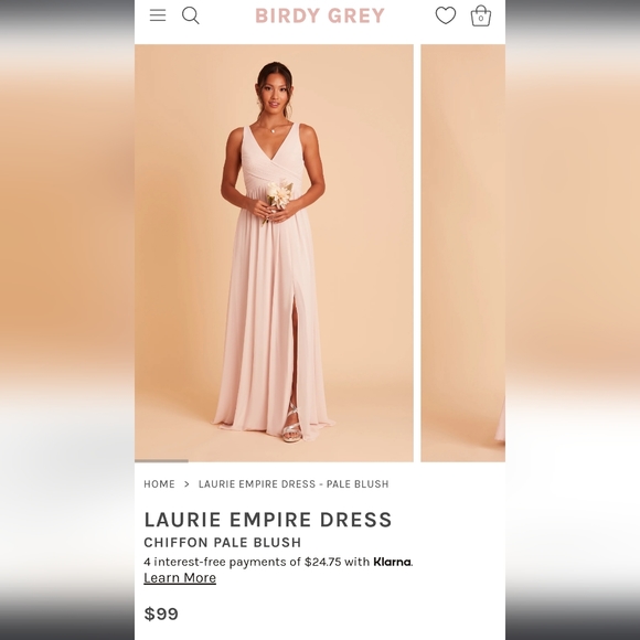 Birdy Grey Dresses & Skirts - Birdy Grey Bridesmaid Dress Pale Blush Laurie Empire Dress